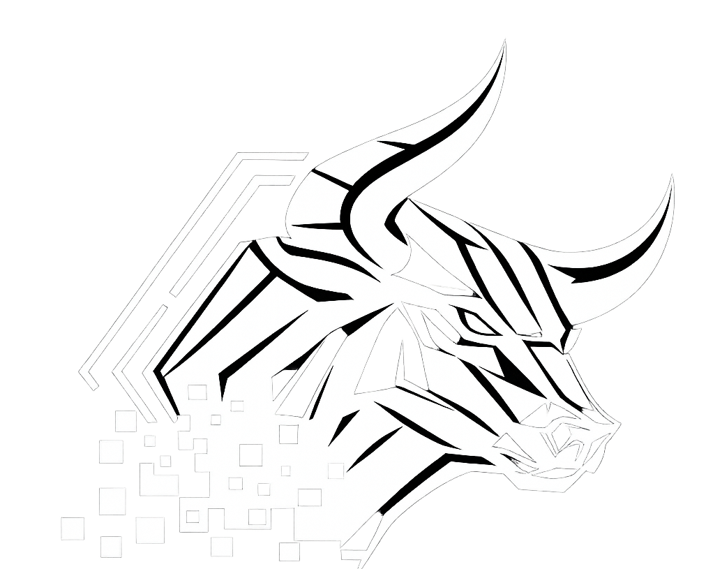 BullSystems